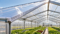 //ikrorwxhpjinlo5p.ldycdn.com/cloud/piBpiKnllqSRmlqorjojip/Greenhouse-Roof-With-Polycarbonate-Hollow-Sheets.jpg
