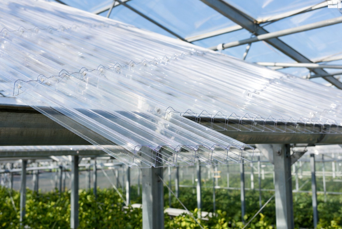 Polycarbonate Greenhouse Roofing In Action